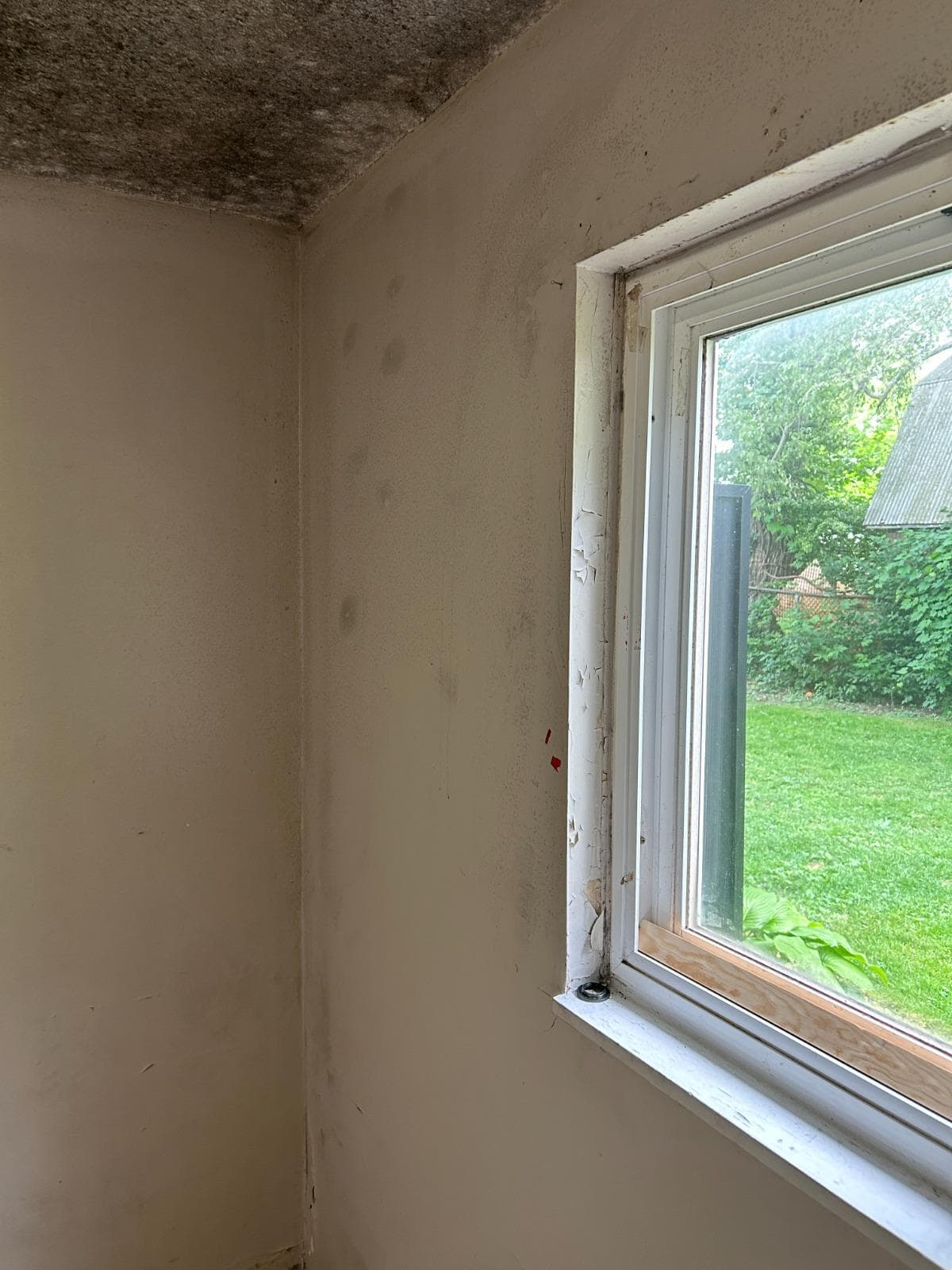 1-Bedroom Apartment Renovation thumbnail 2