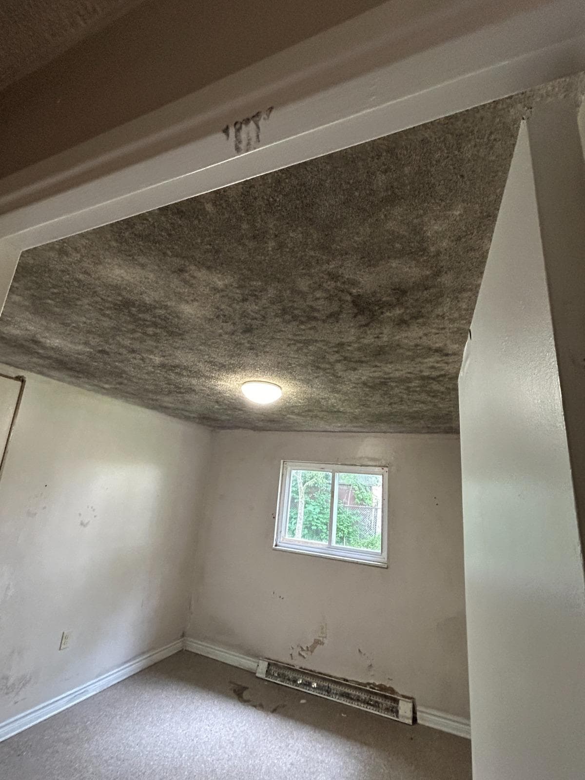 1-Bedroom Apartment Renovation thumbnail 3
