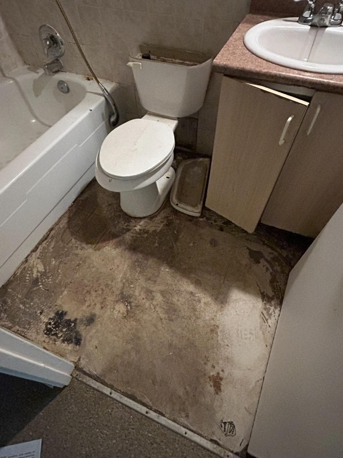 1-Bedroom Apartment Renovation thumbnail 4